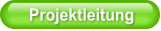Projektleitung